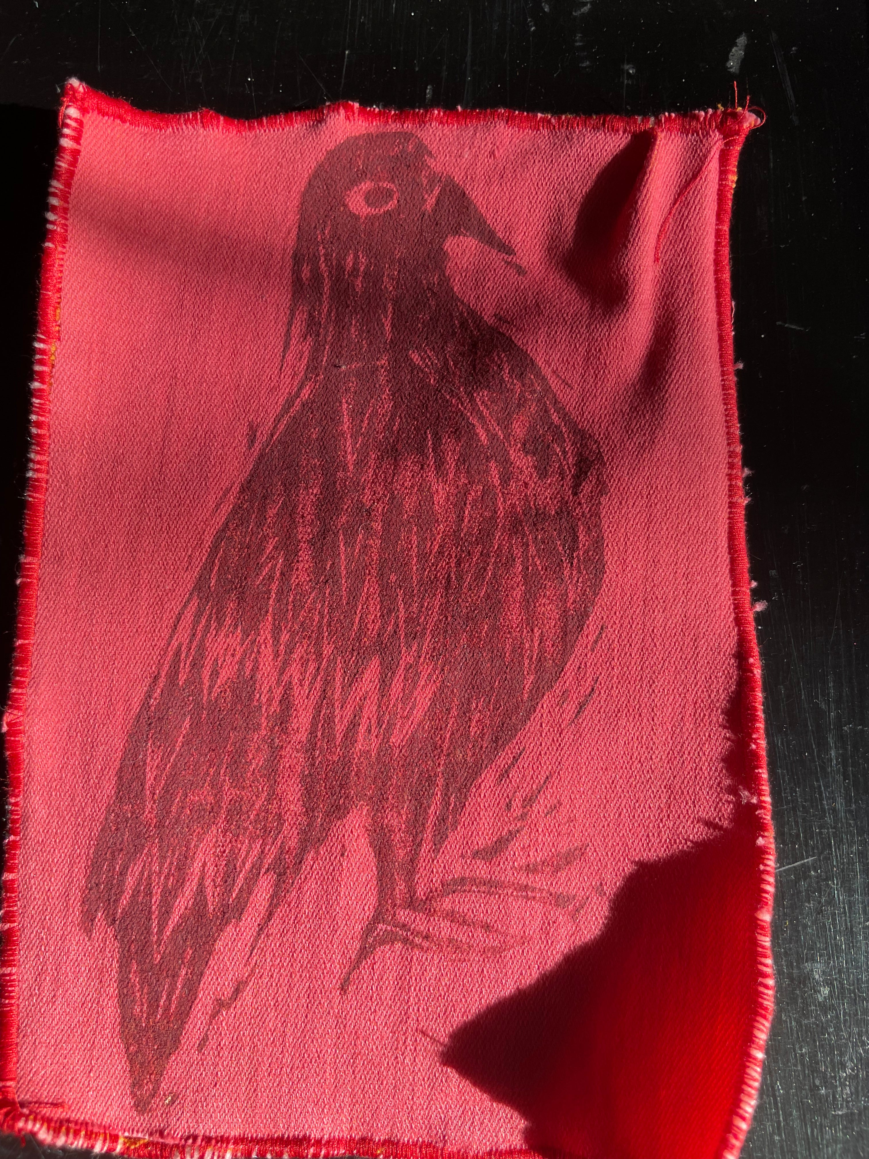 Extra Large Pigeon Patch-- Hot Pink